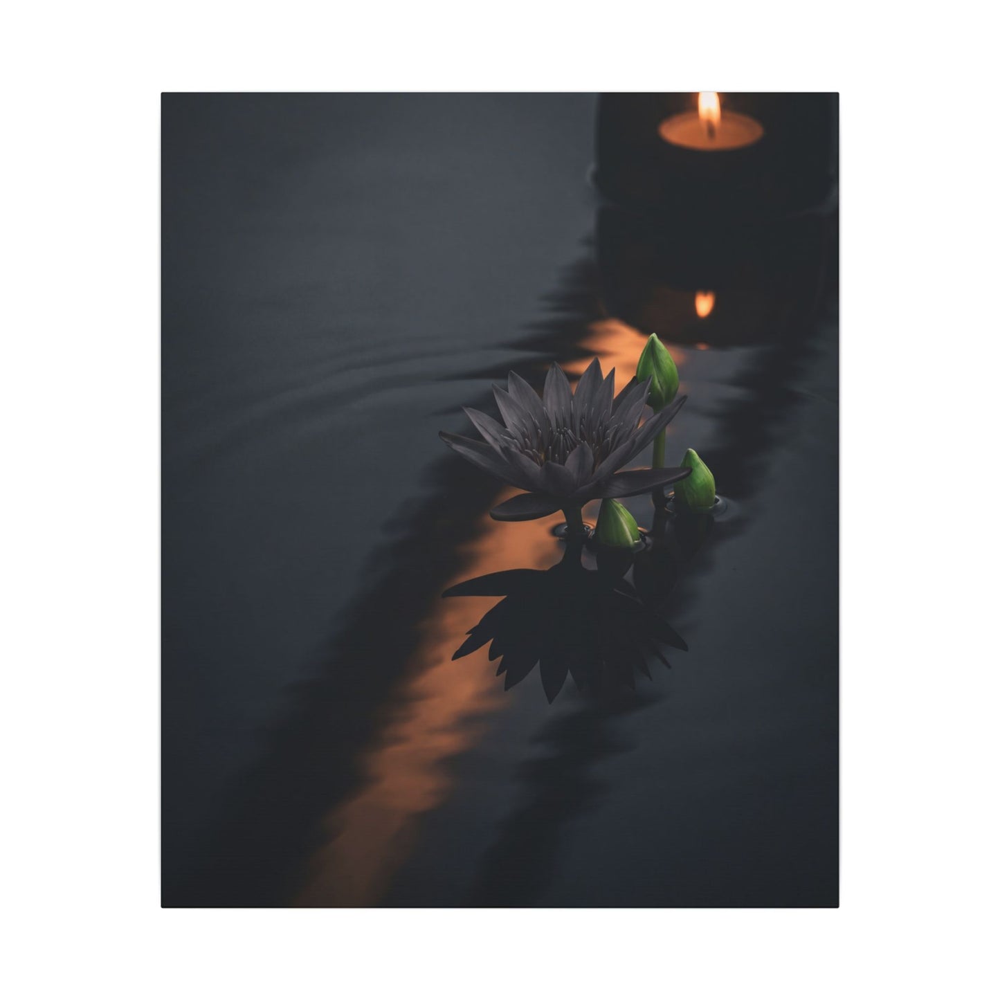 Seijaku Lotus Flower Canvas Art - Dark Japandi Shadow Zen