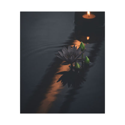 Seijaku Lotus Flower Canvas Art - Dark Japandi Shadow Zen