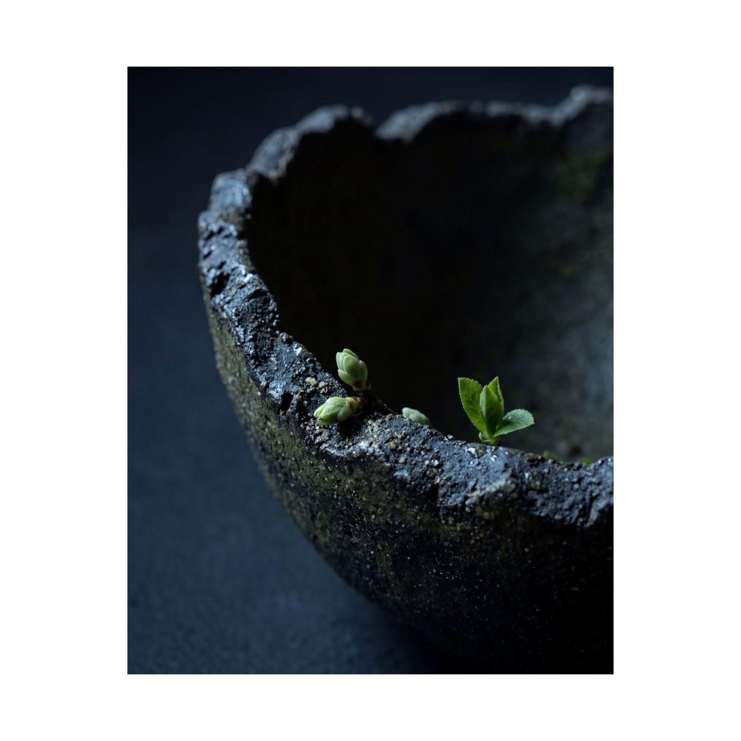 Datsuzoku Ceramic Bowl Wall Art Print - Dark Japandi Moody Minimal