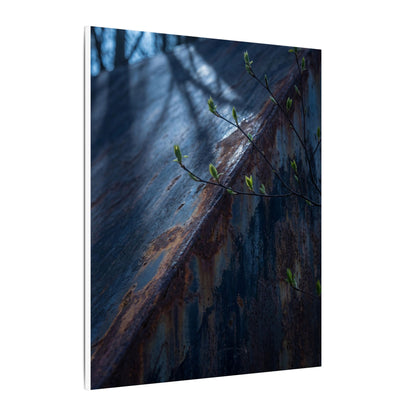 Rust Patina Canvas Art | Spring Dark Japandi Shadow Zen Art