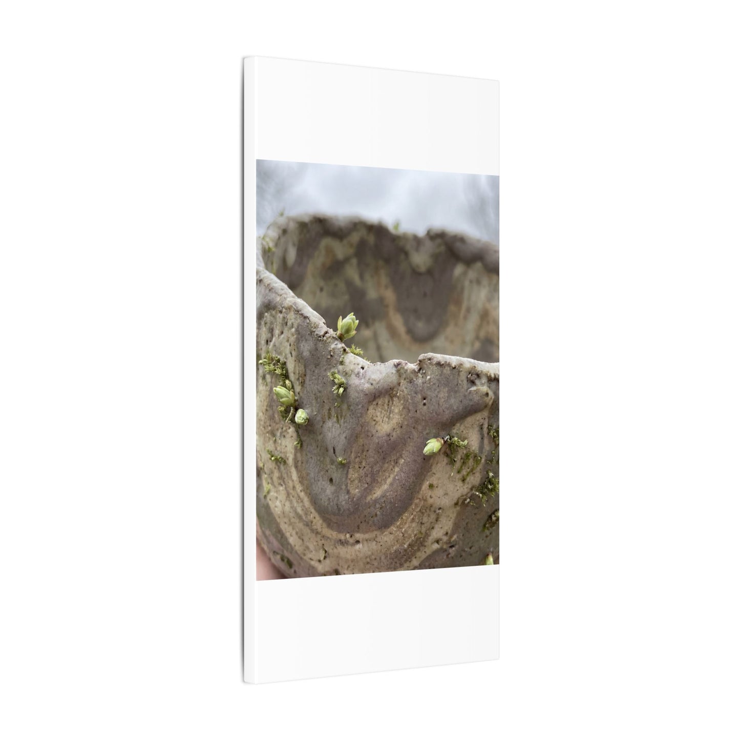 Overcast Ceramic Bowl Canvas Art - Japandi Fukinsei
