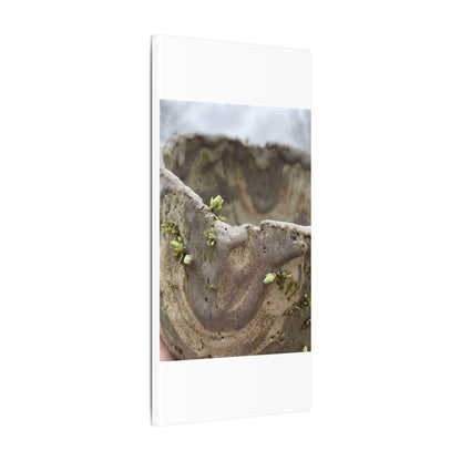 Overcast Ceramic Bowl Canvas Art - Japandi Fukinsei