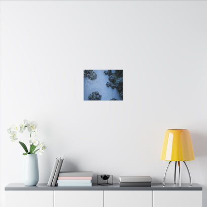 Contemplative Cherry Blossom Canvas Art - Karesansui Zen