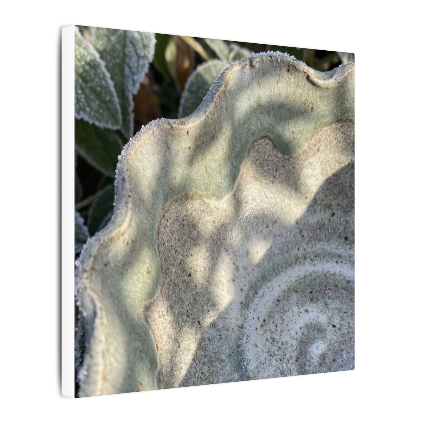 Dappled Ceramic Bowl Canvas Art - Japandi Seijaku