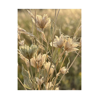 Cozy Dried Flowers Wall Art Print - Minimal Line Japandi