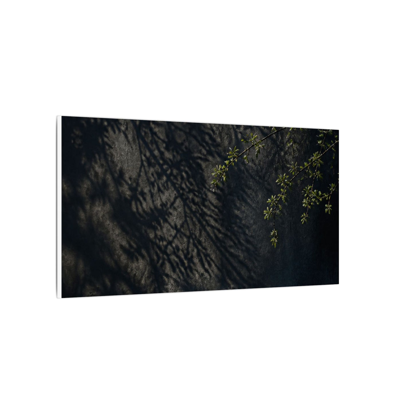 Overcast Shadow Play Canvas Art - Dark Japandi Seijaku