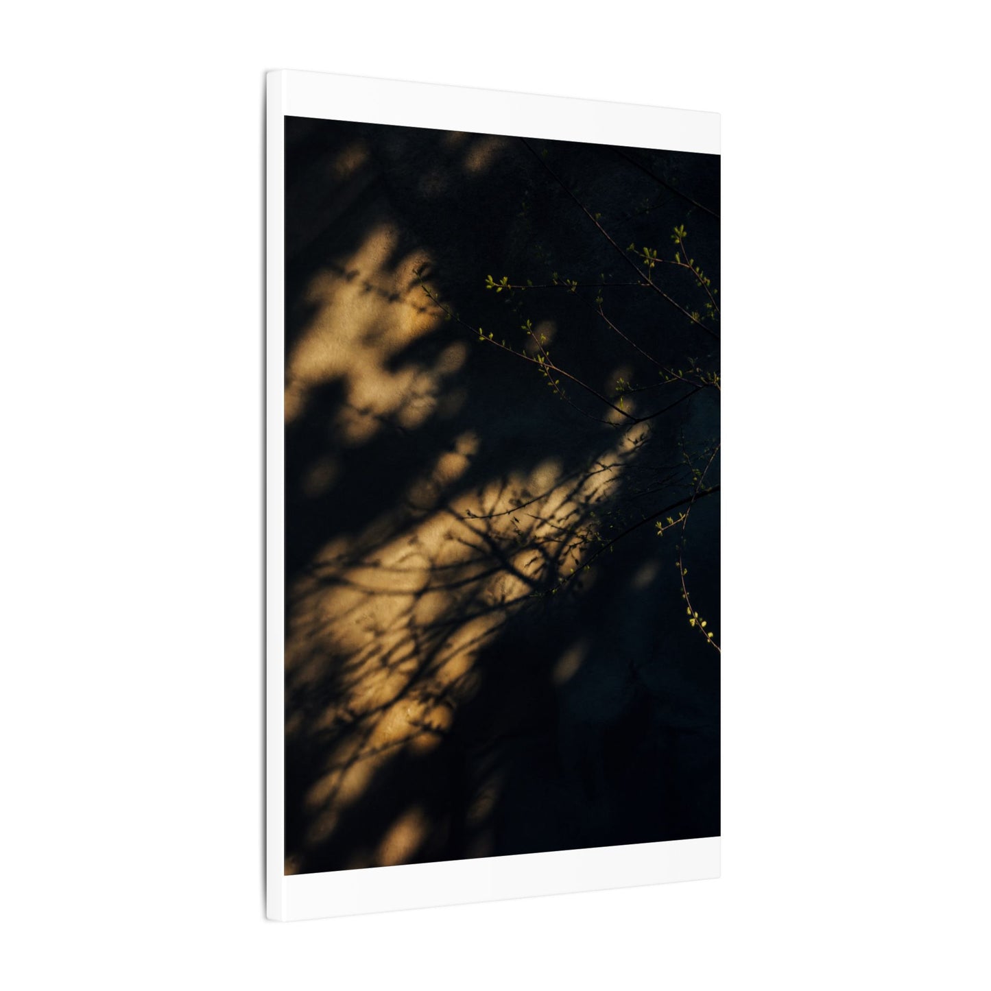 Moody Shadow Play Canvas Art - Moody Minimal Dark Japandi