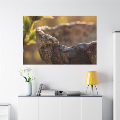 Golden Hour Ceramic Bowl Canvas Art - Dark Japandi Ma