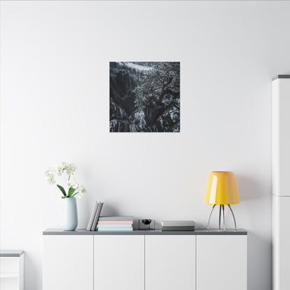 Dark Japandi Pine Tree in Dappled | Dark Texture Canvas Art