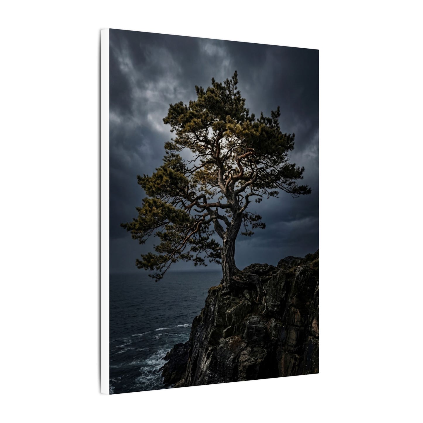 Dappled Pine Tree Canvas Art - Dark Japandi Fukinsei