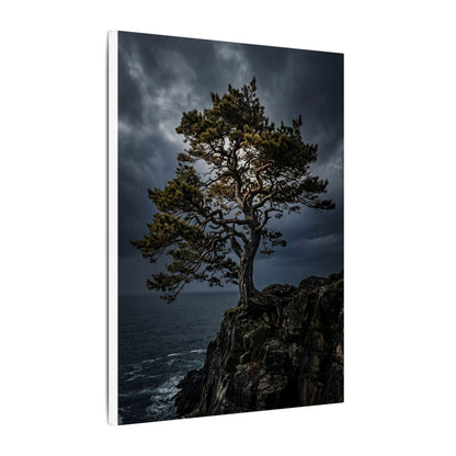 Dappled Pine Tree Canvas Art - Dark Japandi Fukinsei