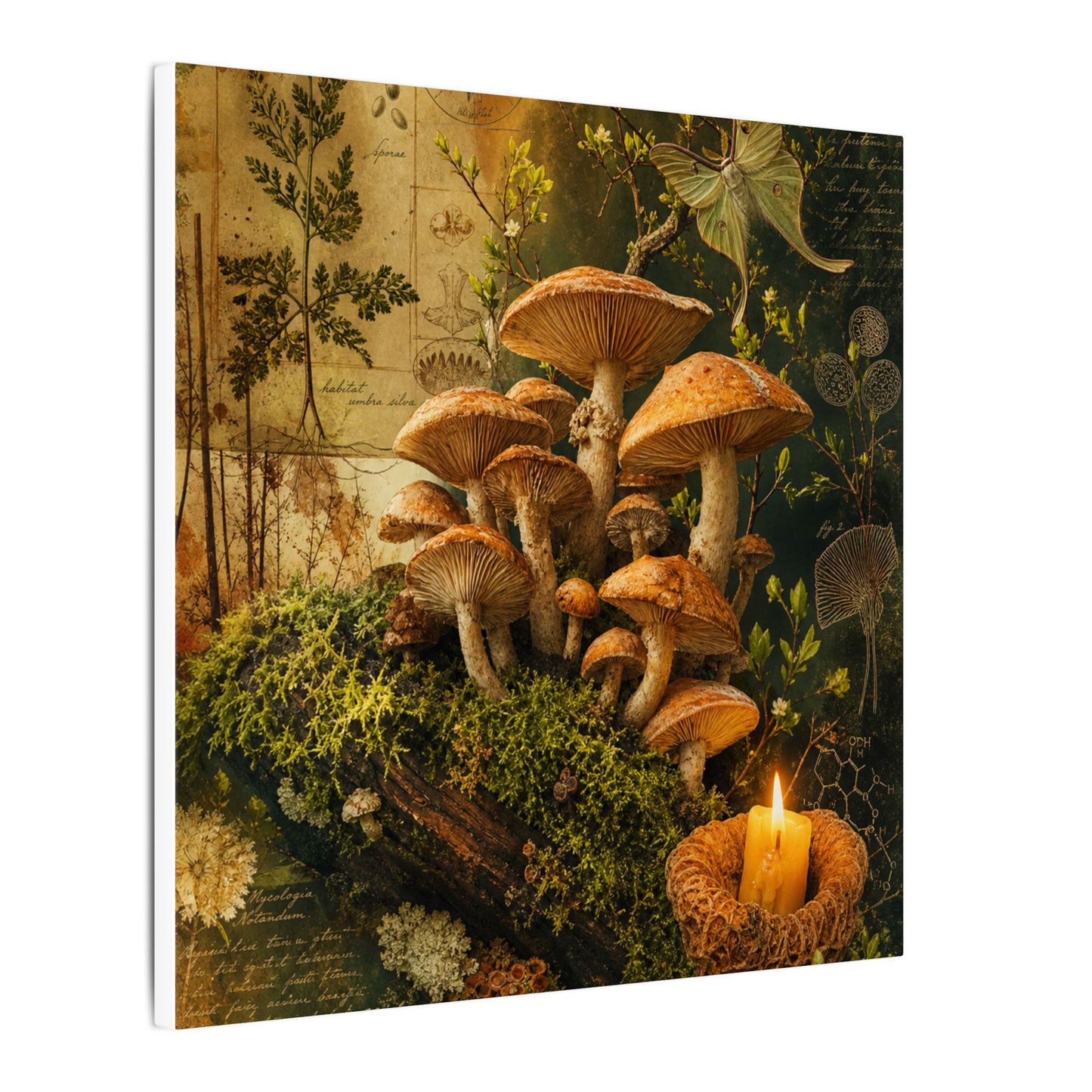 Spring Wild Mushrooms Herbarium Canvas Art | Earthy Decor