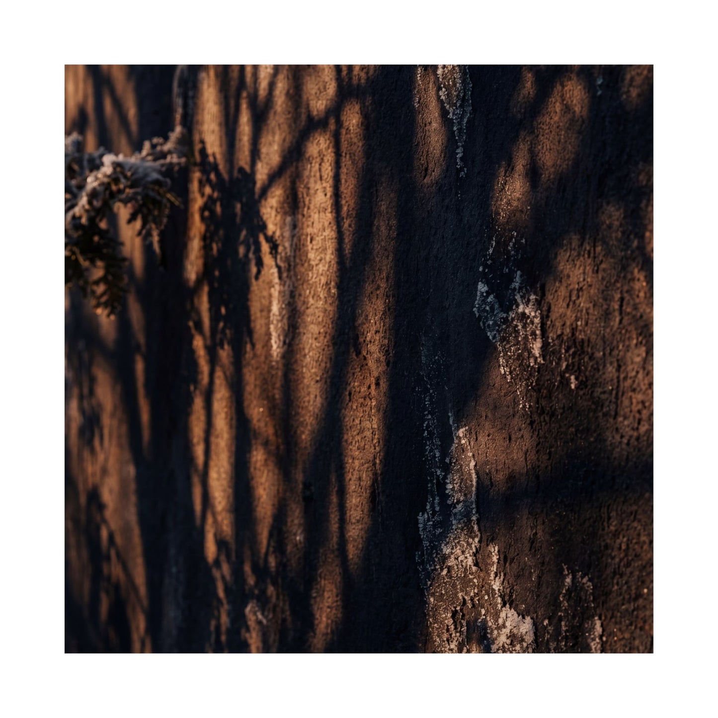 Shadow Play Wall Art Print | Winter Dark Japandi Moody Minimal Art