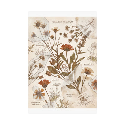 Winter Dried Flowers Herbarium Wall Art Print | Rustic Decor