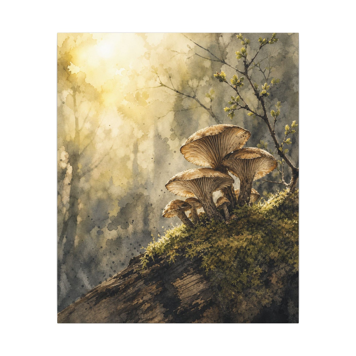 Wild Mushrooms Canvas Art | Spring Japandi Watercolor Art