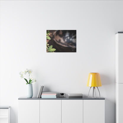 Ceramic Bowl Shadow Zen Canvas Art | Moody Dark Japandi Art
