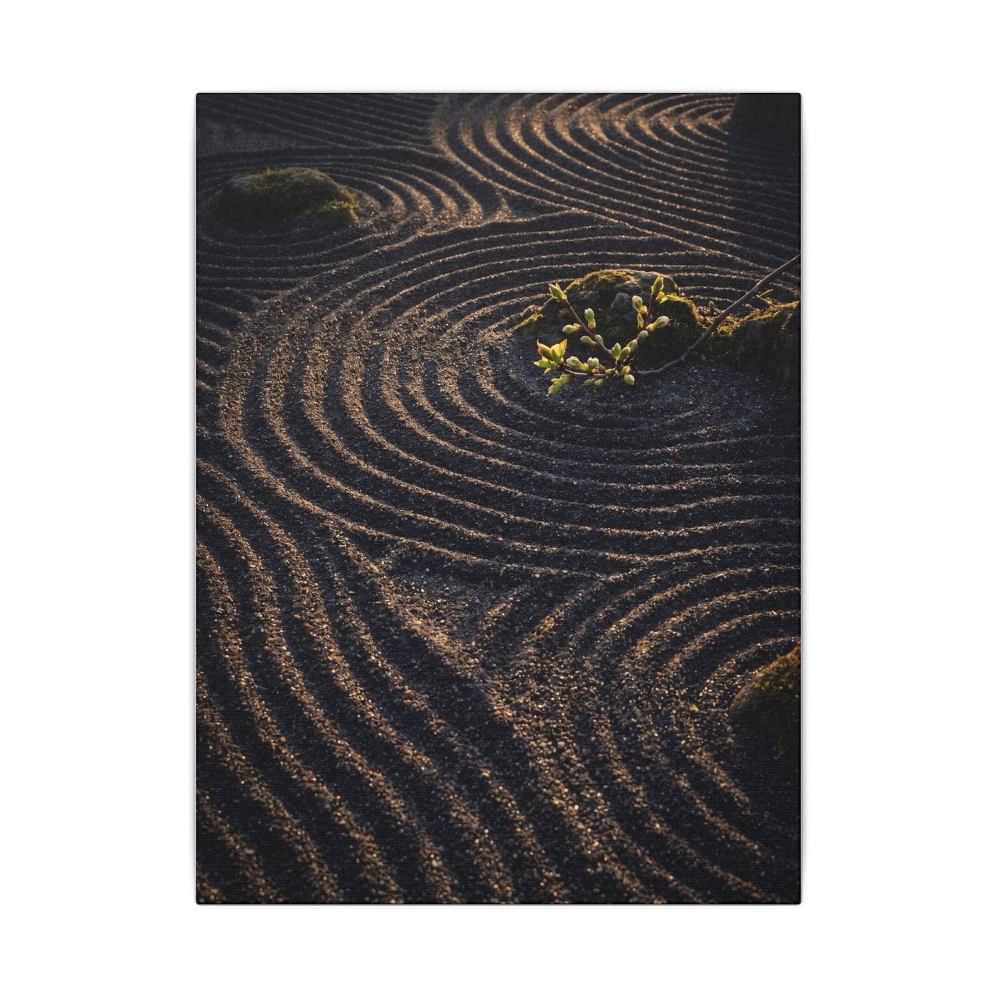 Spring Rock Garden Shadow Zen Canvas Art | Atmospheric Decor