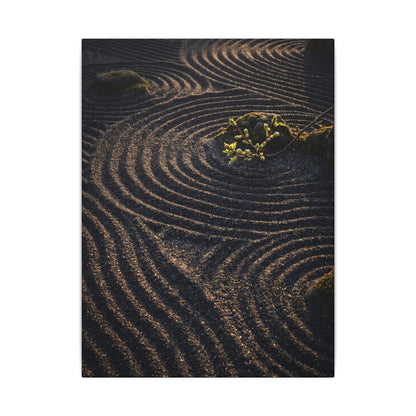 Spring Rock Garden Shadow Zen Canvas Art | Atmospheric Decor