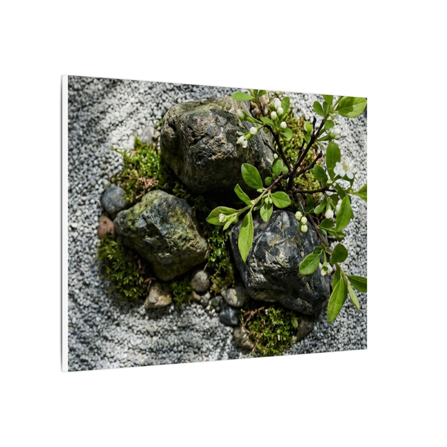 Zen Ceramic Bowl in Dappled | Karesansui Canvas Art