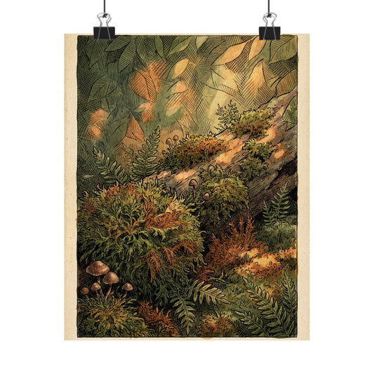 Moss Close Up Summer Wall Art Print | Cottagecore Nostalgic Design Art Print