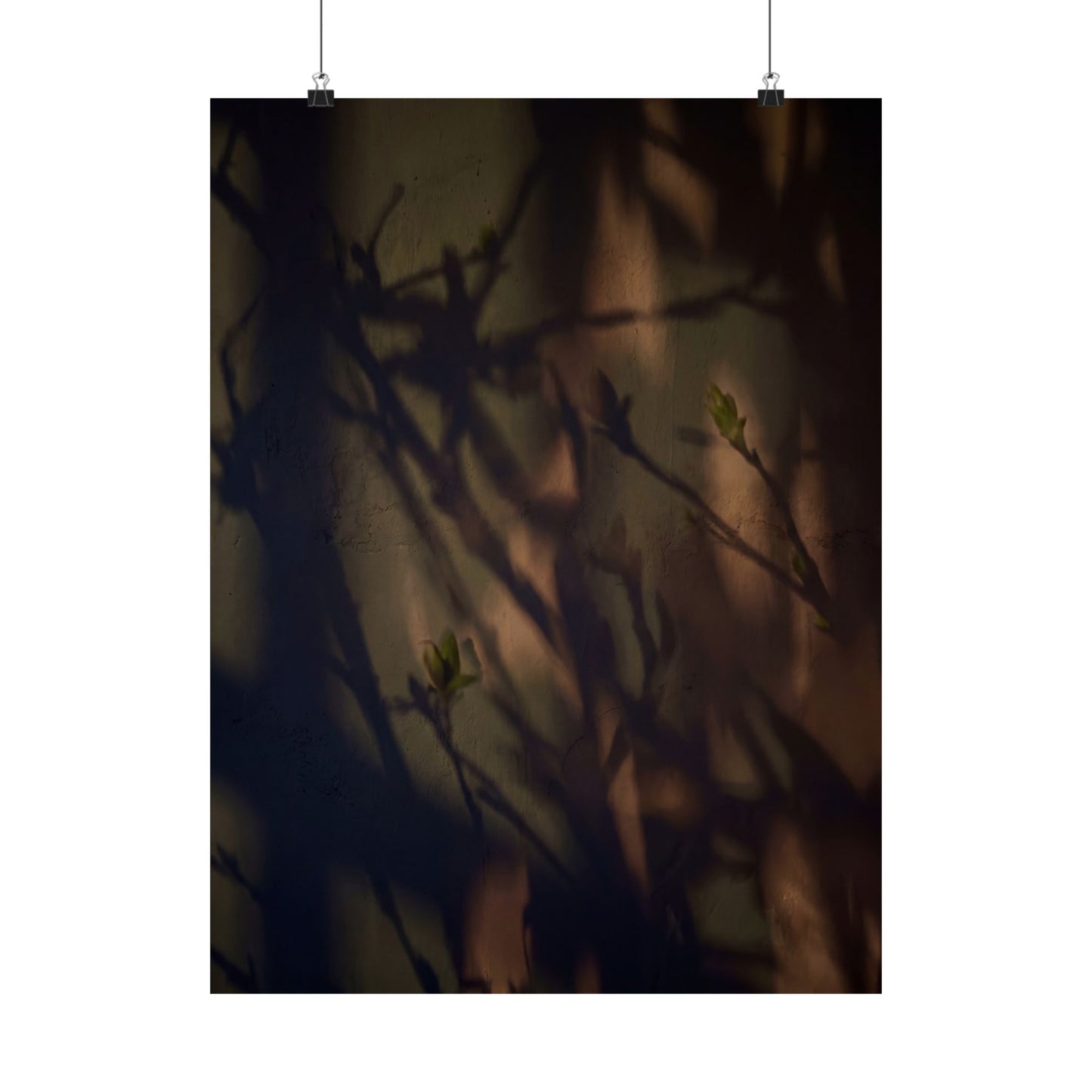 Shadow Play Spring Wall Art Print | Dark Japandi Sophisticated Design