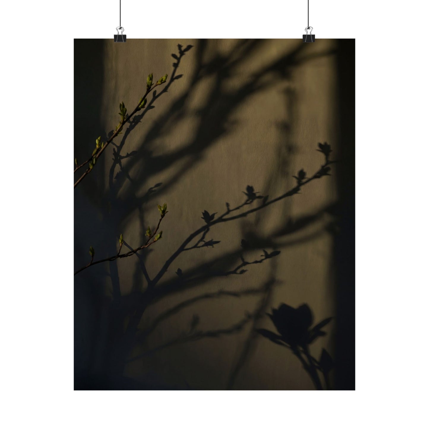 Spring Shadow Play Charcoal Ink Wall Art Print | Moody Decor