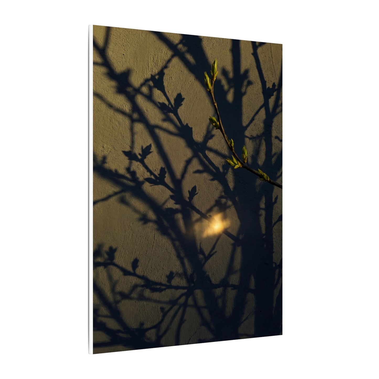 Bold Shadow Play Canvas Art - Moody Minimal Dark Japandi