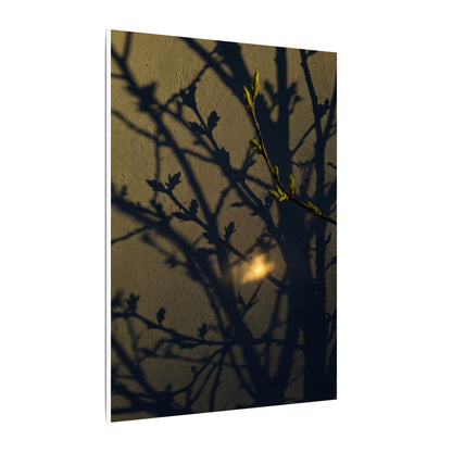 Bold Shadow Play Canvas Art - Moody Minimal Dark Japandi