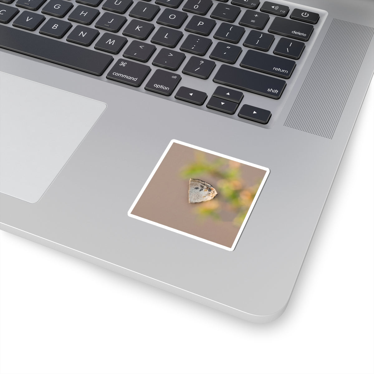 Golden Hour Ceramic Bowl Sticker - Japandi Ma