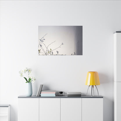 Japandi Shadow Play in Dawn | Japanese Pattern Canvas Art