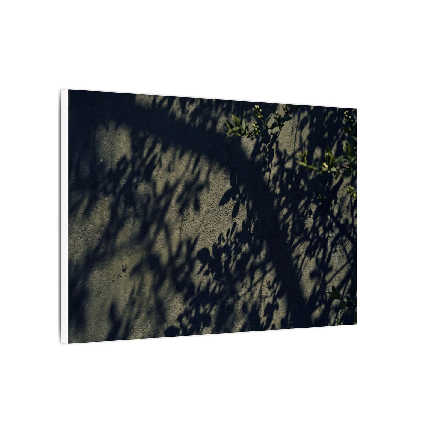 Atmospheric Shadow Play Canvas Art - Moody Minimal Dark Japandi
