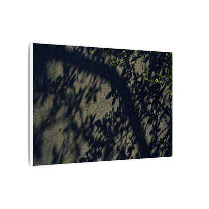 Atmospheric Shadow Play Canvas Art - Moody Minimal Dark Japandi