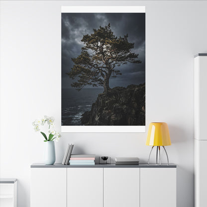 Dappled Pine Tree Canvas Art - Dark Japandi Fukinsei