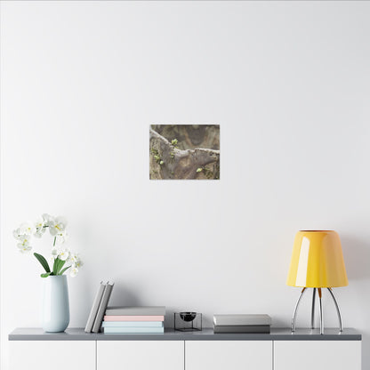 Overcast Ceramic Bowl Canvas Art - Japandi Fukinsei
