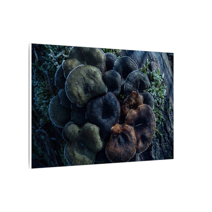 Wild Mushrooms Moody Minimal Canvas Art | Moody Dark Japandi Art