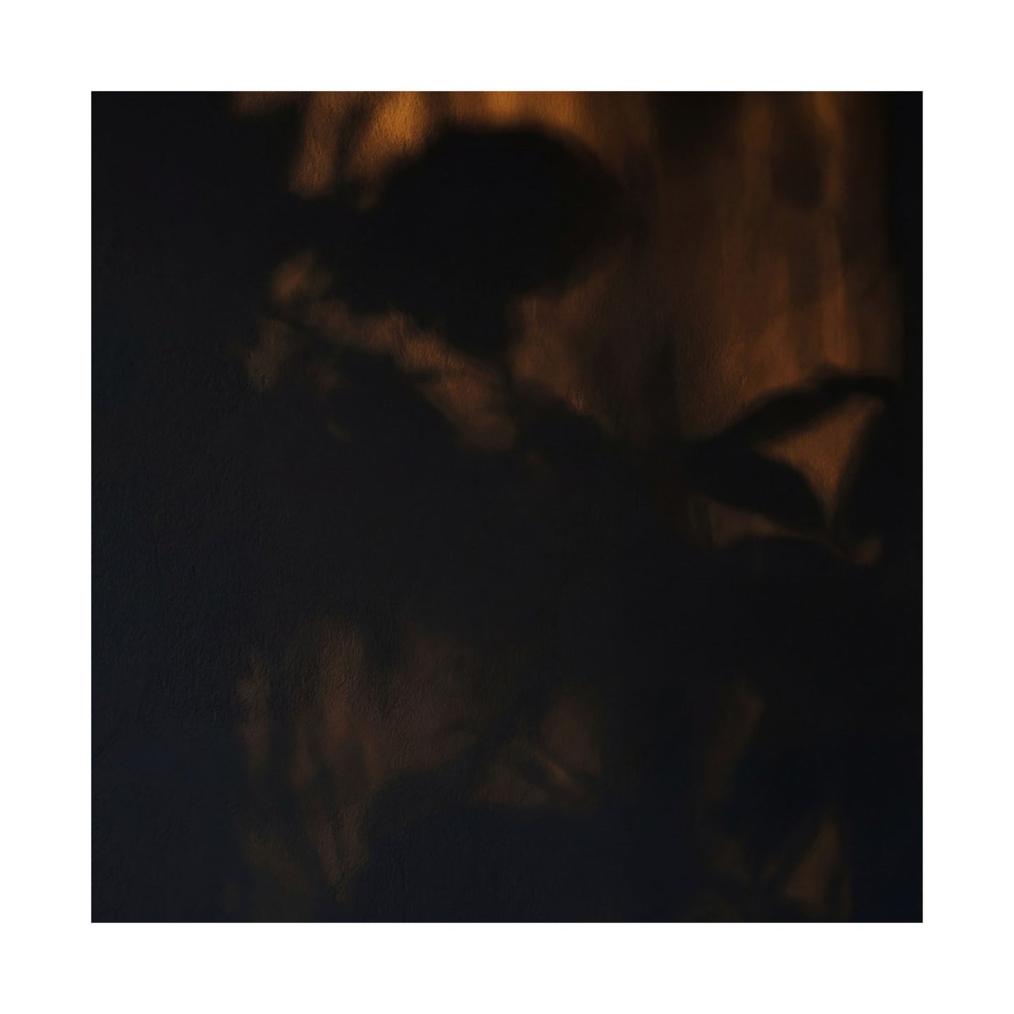 Shadow Play Summer Wall Art Print | Dark Japandi Atmospheric Design