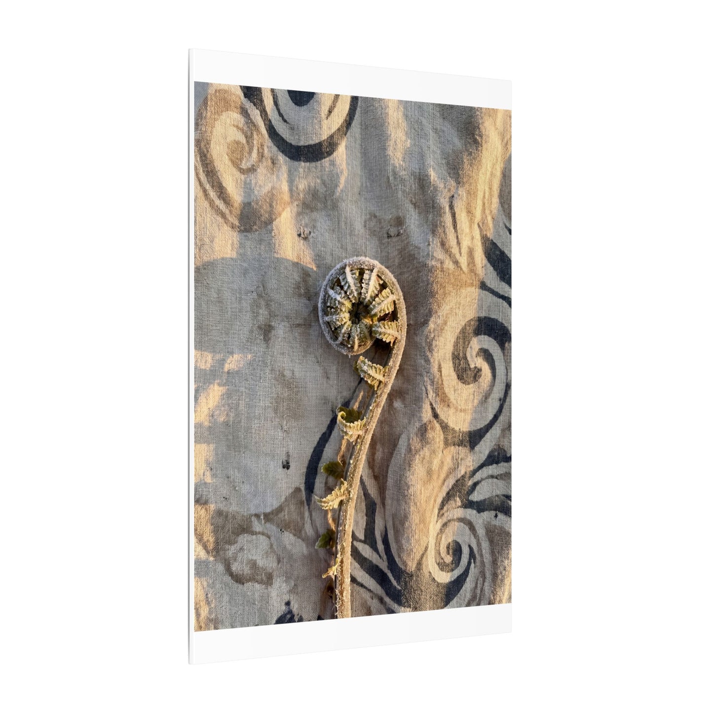 Fern Unfurling Canvas Art | Winter Japandi Japanese Pattern Art