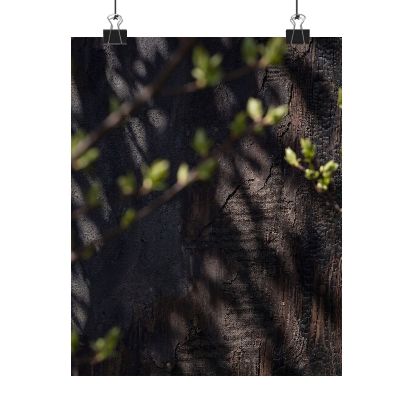 Shadow Play Dark Texture Wall Art Print | Atmospheric Dark Japandi Art