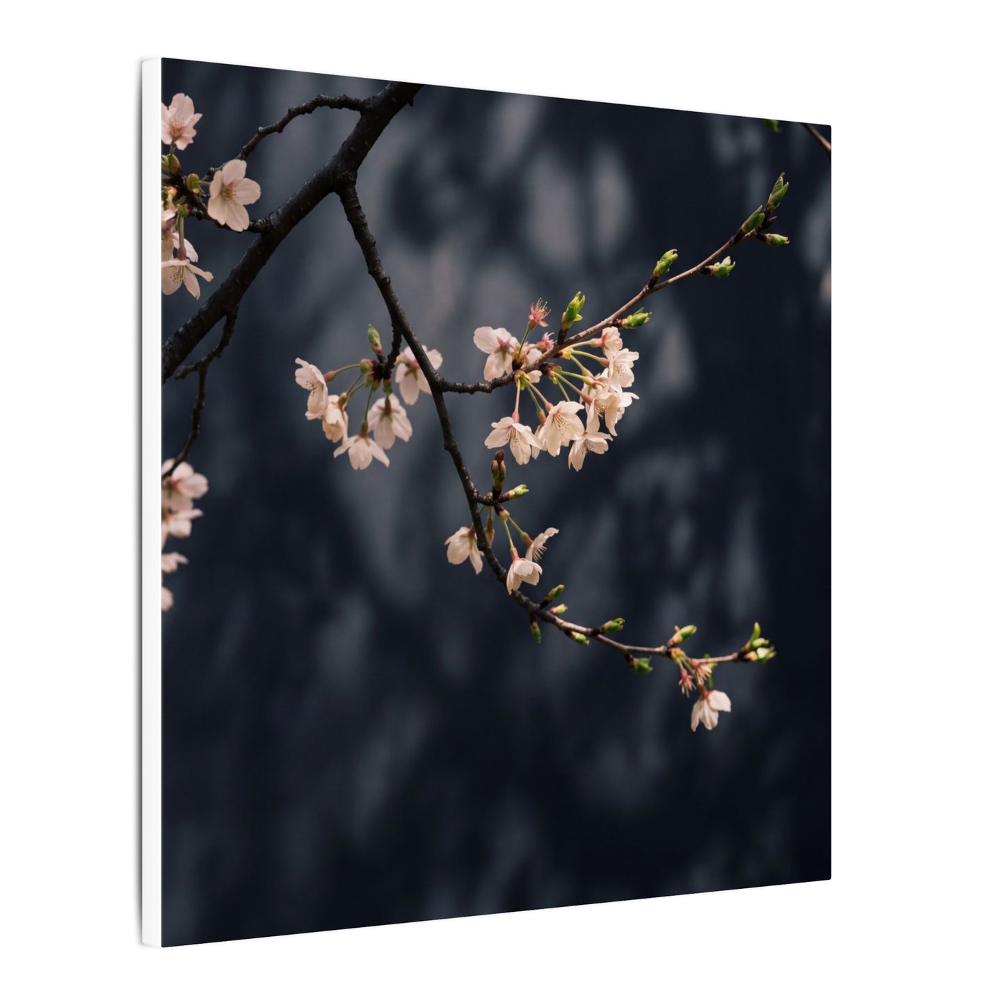 Cherry Blossom Moody Minimal Canvas Art | Bold Dark Japandi Art