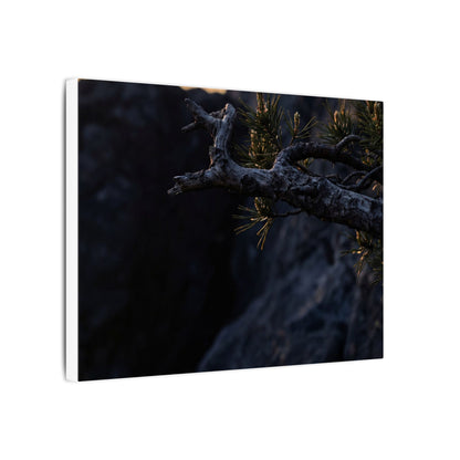 Pine Tree Moody Minimal Canvas Art | Sophisticated Dark Japandi Art