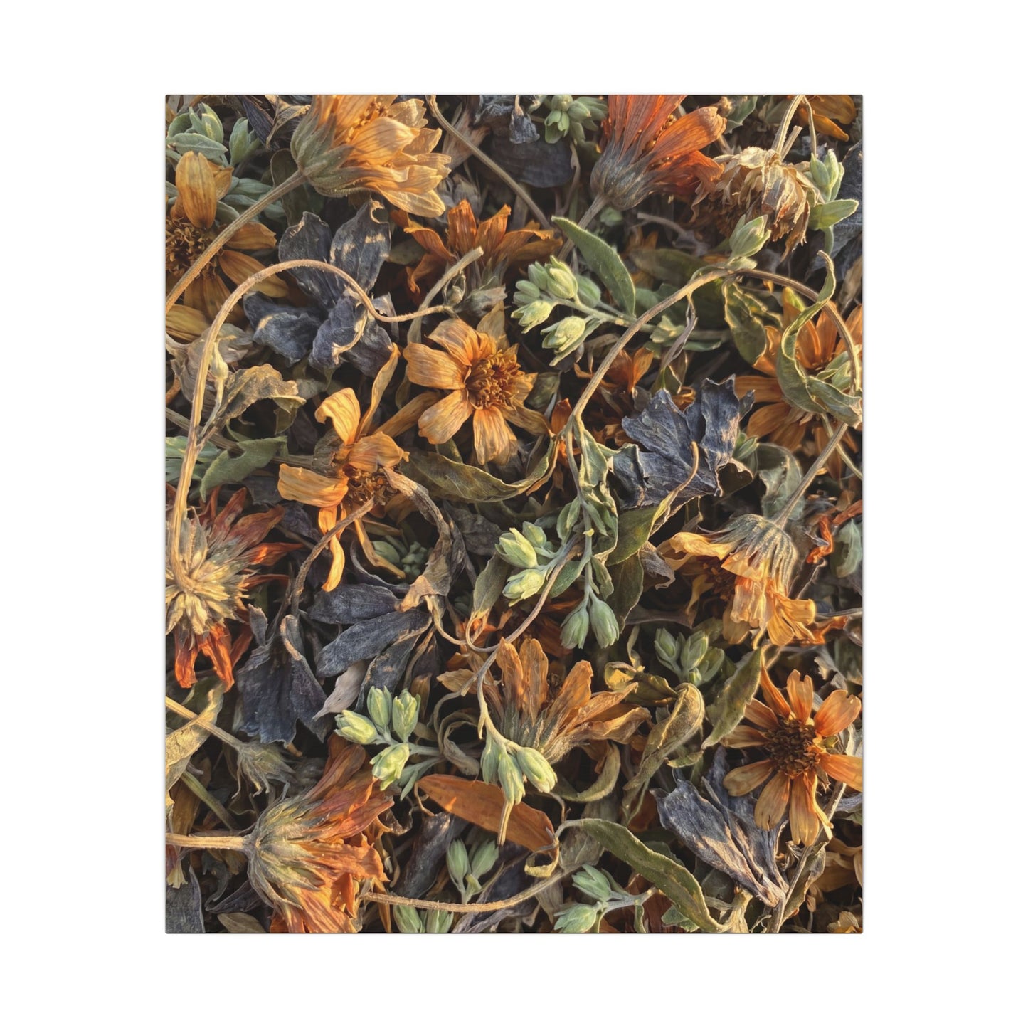 Spring Dried Flowers Japanese Pattern Canvas Art | Warm Decor