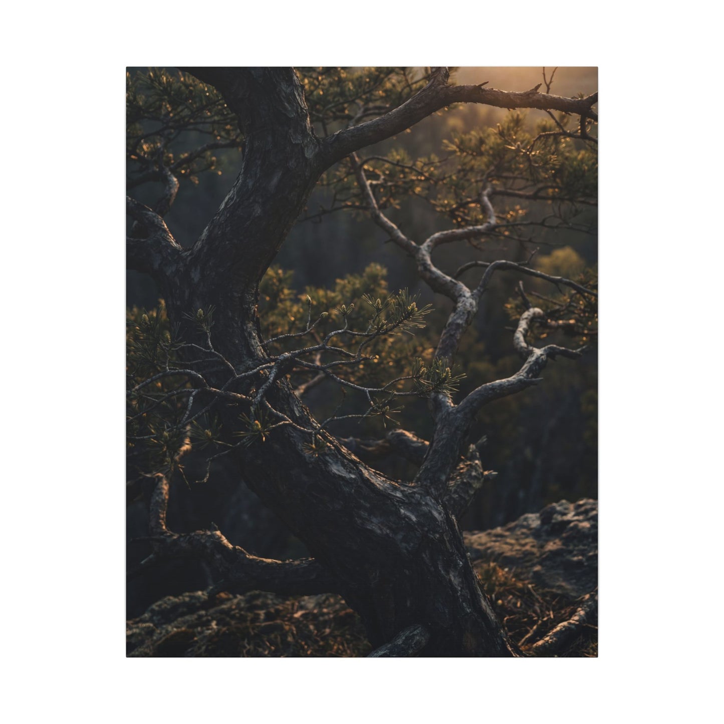 Moody Pine Tree Canvas Art - Moody Minimal Dark Japandi