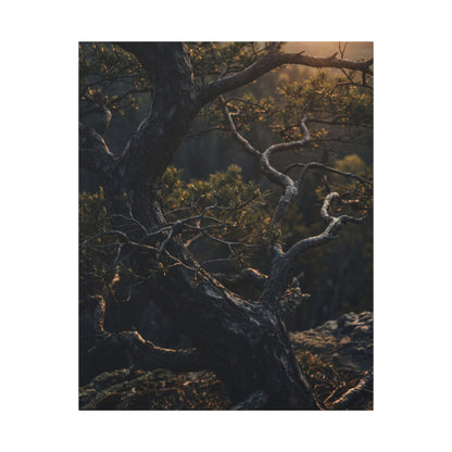 Moody Pine Tree Canvas Art - Moody Minimal Dark Japandi