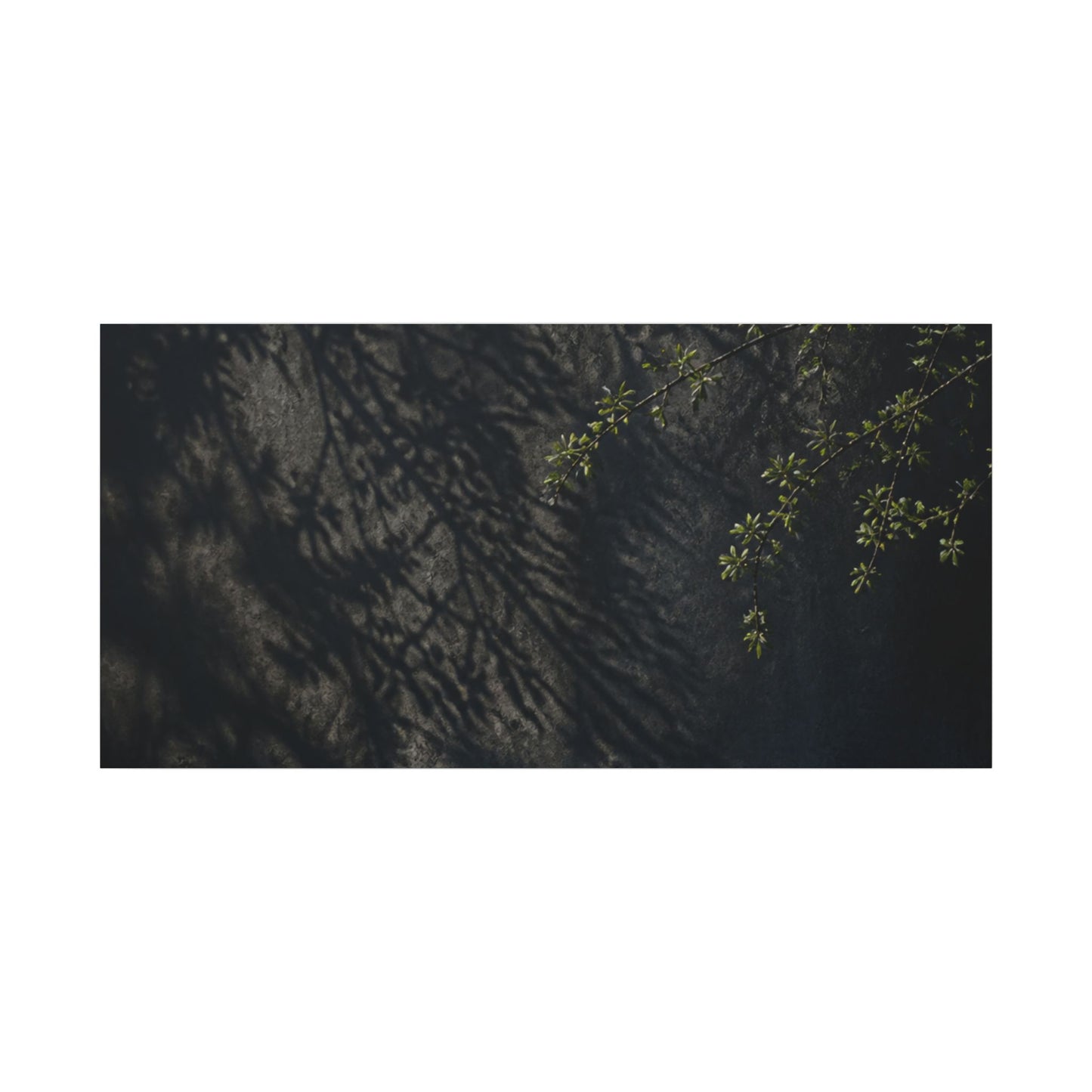 Overcast Shadow Play Canvas Art - Dark Japandi Seijaku
