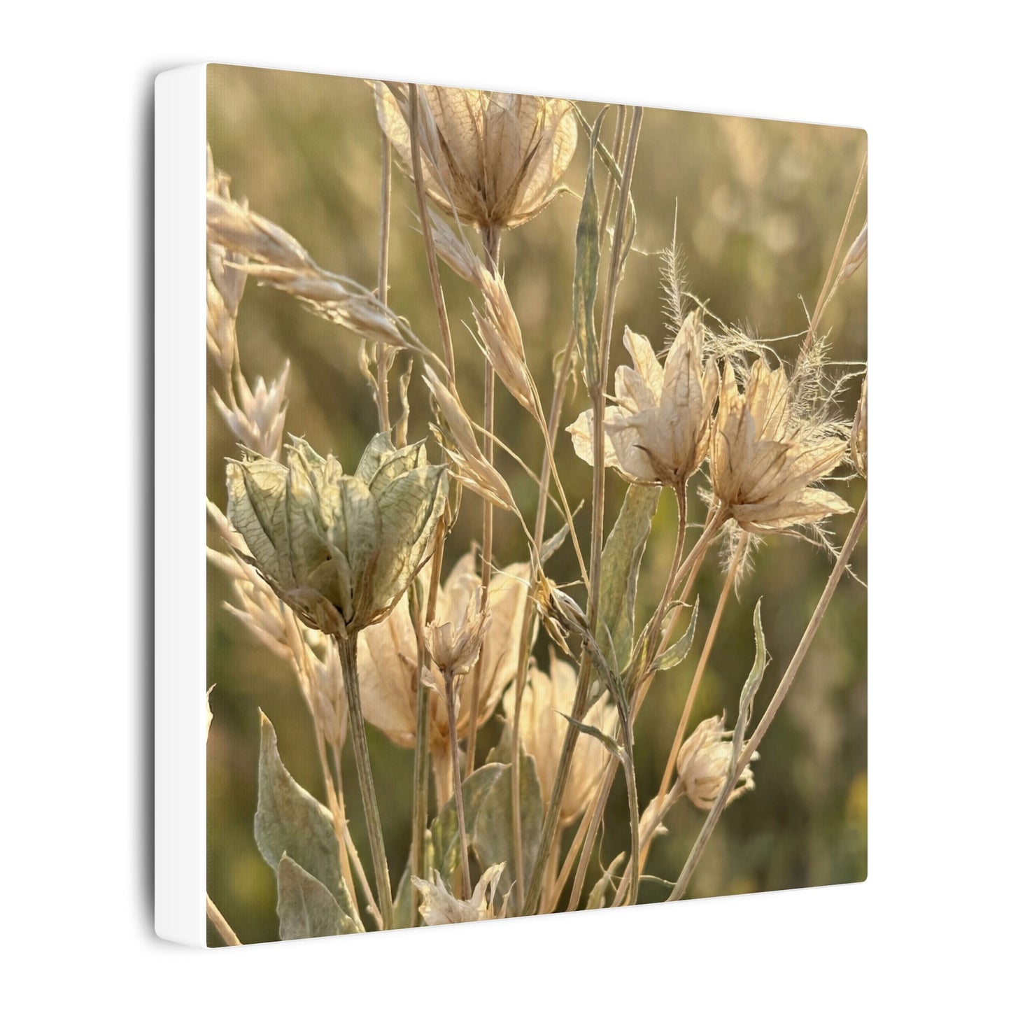 Summer Dried Flowers Minimal Line Canvas Art | Cozy Decor