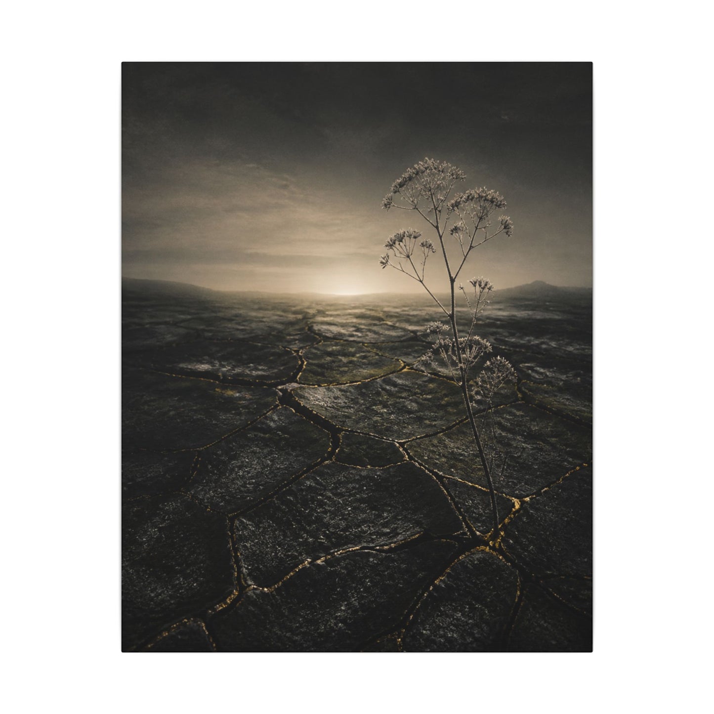 Dawn Cracked Earth Canvas Art - Dark Japandi Mono No Aware