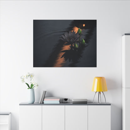 Seijaku Lotus Flower Canvas Art - Dark Japandi Shadow Zen