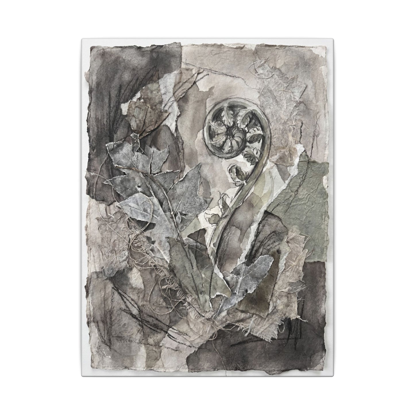 Japandi Fern Unfurling in Overcast | Texture Canvas Art
