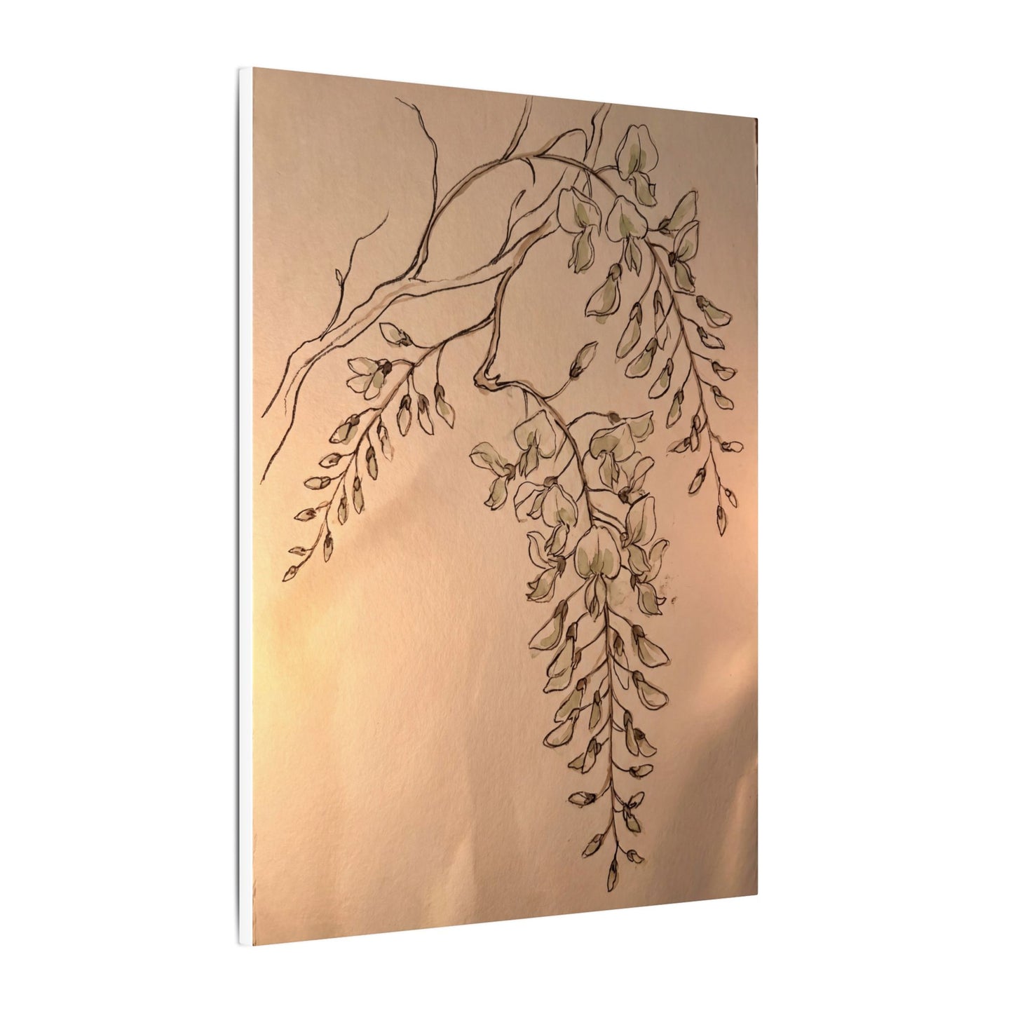Japandi Wisteria in Candlelight | Minimal Line Canvas Art