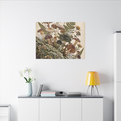 Winter Wild Mushrooms Herbarium Canvas Art | Enchanting Decor